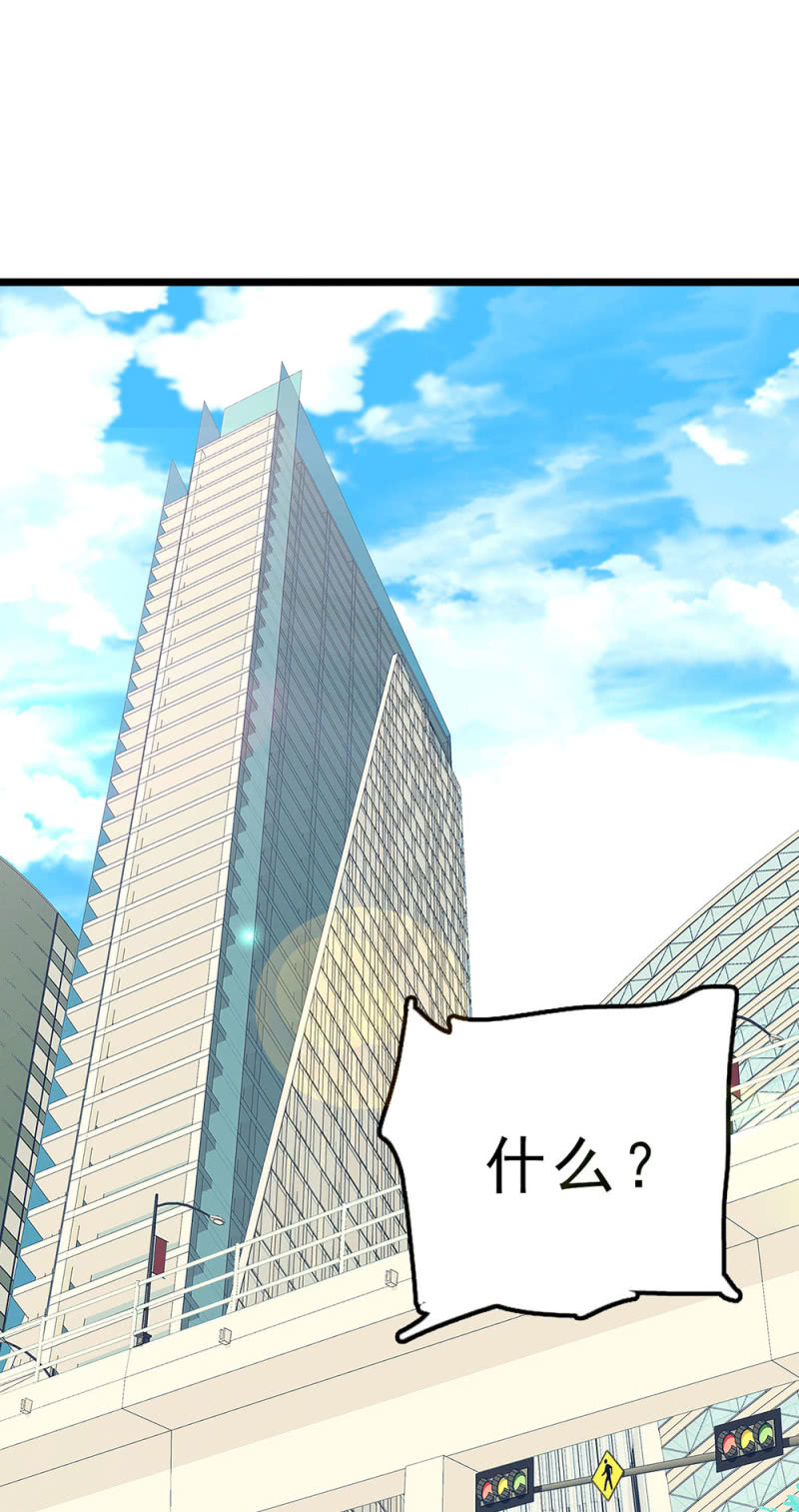 (Ⅱ)060请律师97