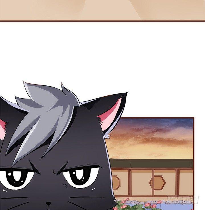 38话 嘿，有只小黑猫！32