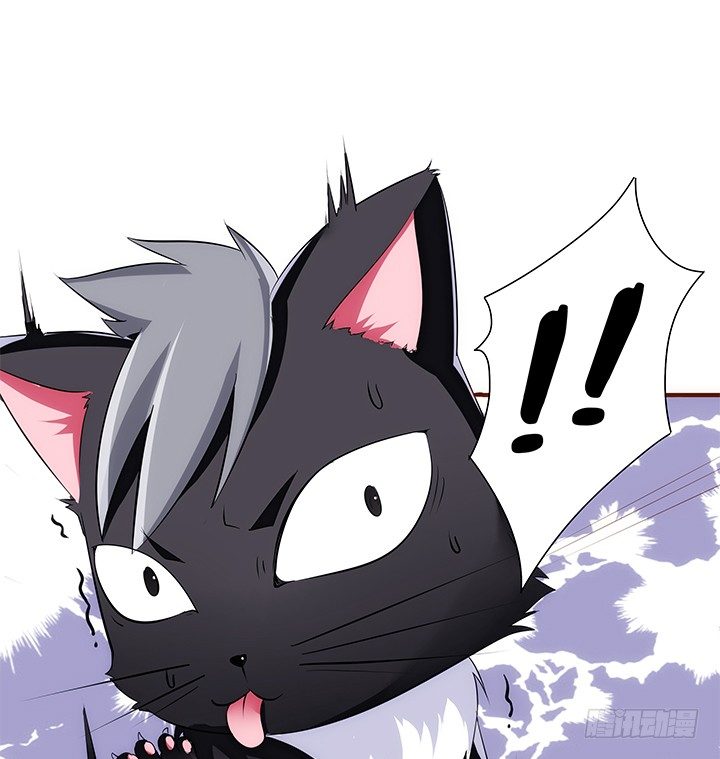 38话 嘿，有只小黑猫！46