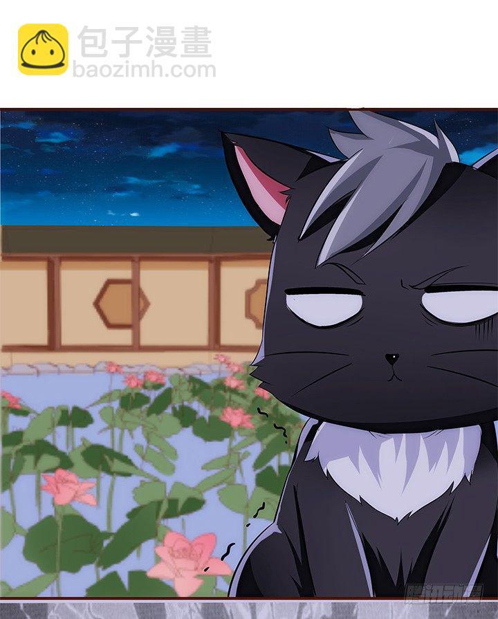38话 嘿，有只小黑猫！35