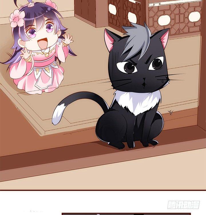 38话 嘿，有只小黑猫！48