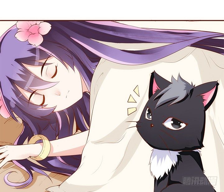 14话 你家有只怪猫45