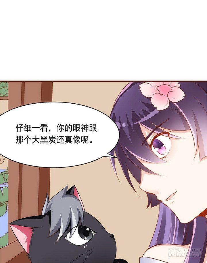 39话 一起玩耍吧41