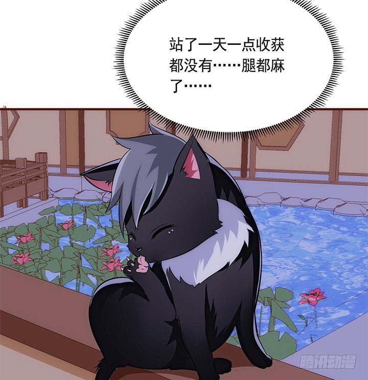 38话 嘿，有只小黑猫！41