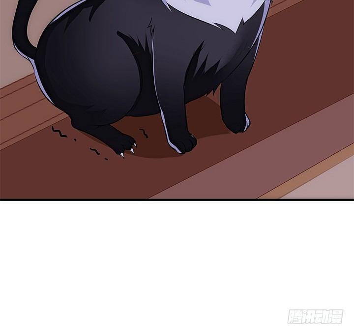 38话 嘿，有只小黑猫！51