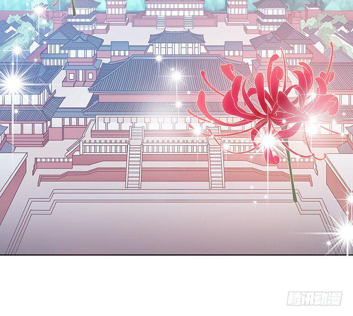 预告75