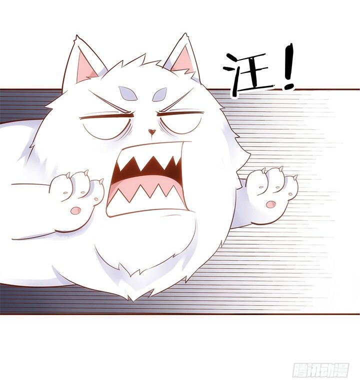 7话 你家住了黑白无常么？20