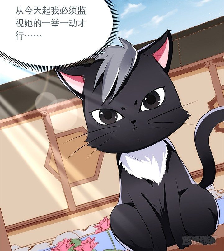 38话 嘿，有只小黑猫！27