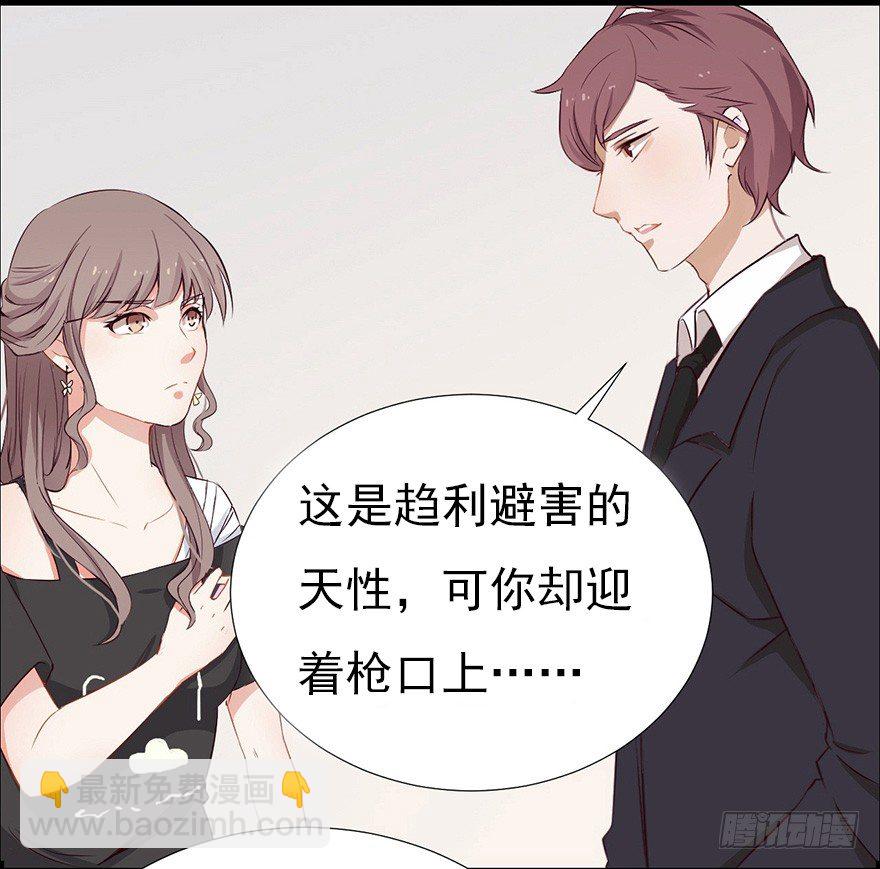 002单细胞动物的春天16