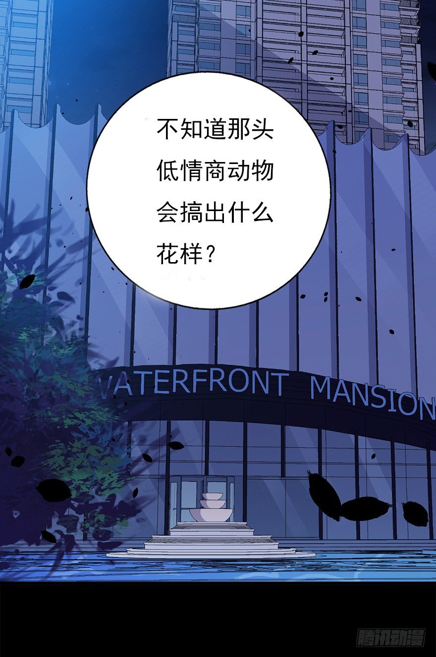 016明月的心思45