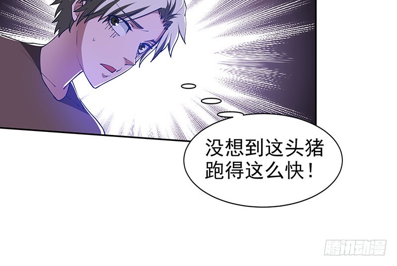 迎战猪头怪38