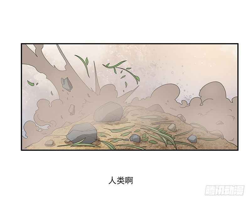 雾散41