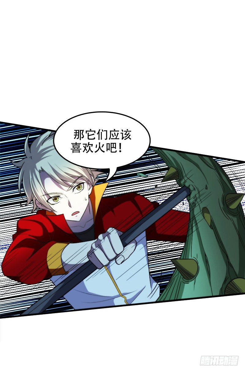 我叫白荇梦4