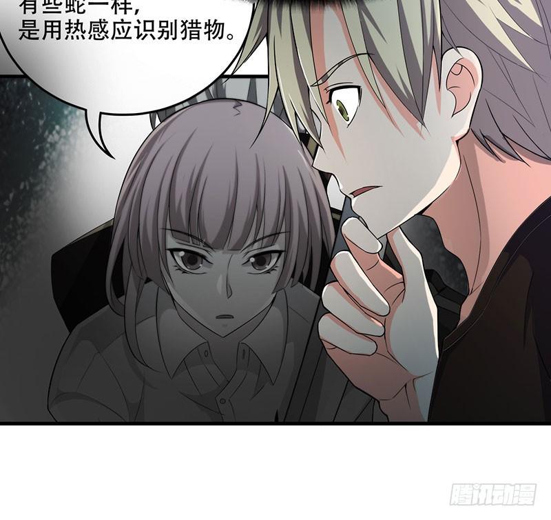 神秘的女孩7