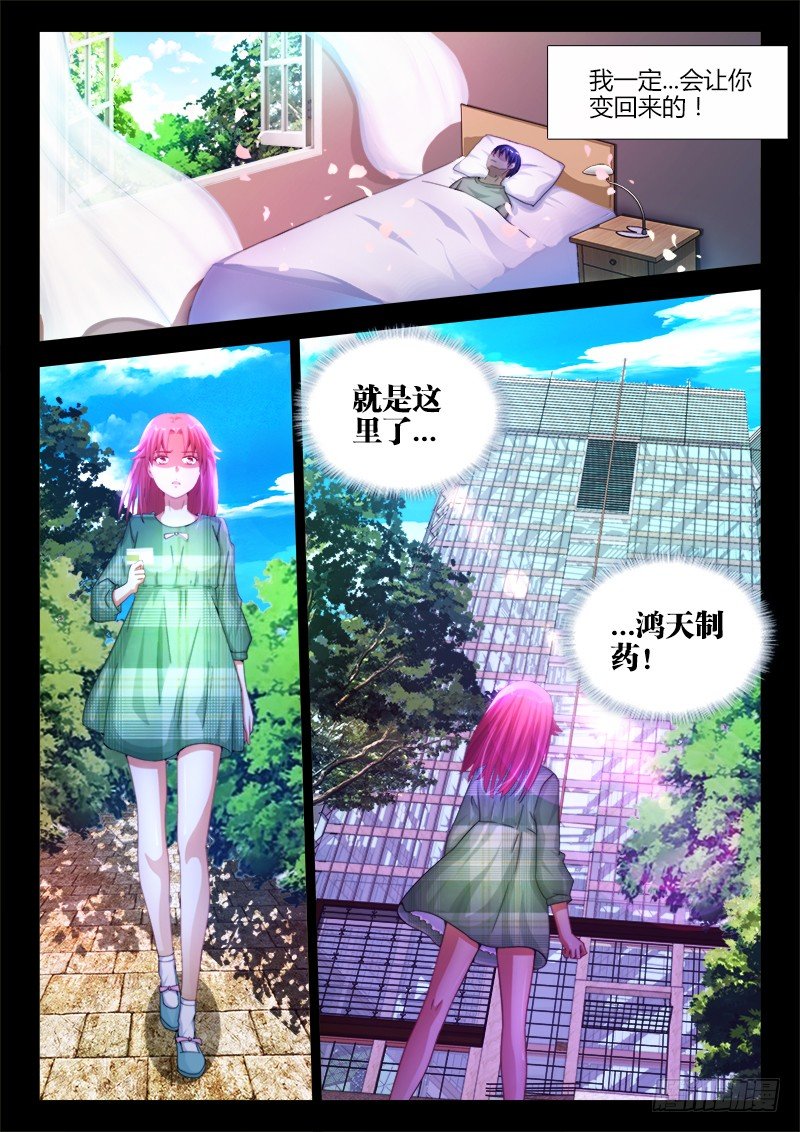 14、试验10