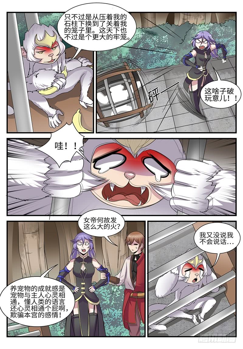第182话 雷厉风行6