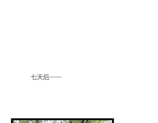 第47话 年轻真好10