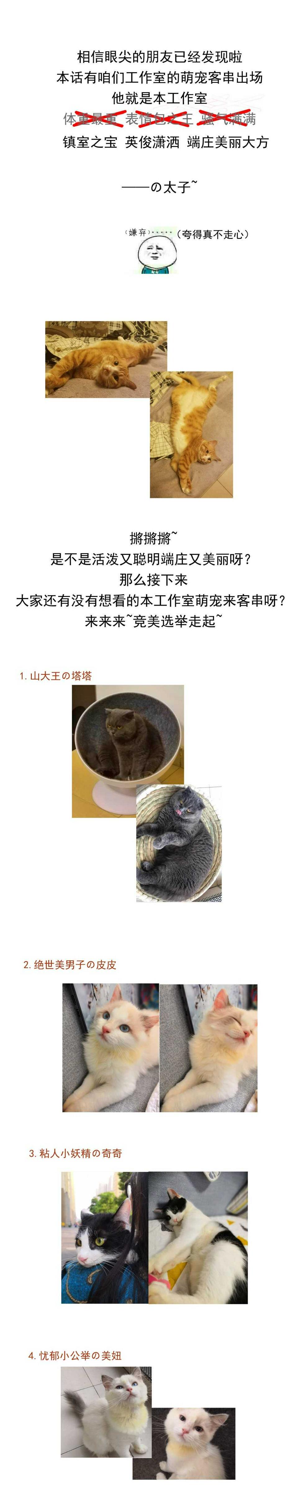 第128话 这羞羞的心情是什么？45