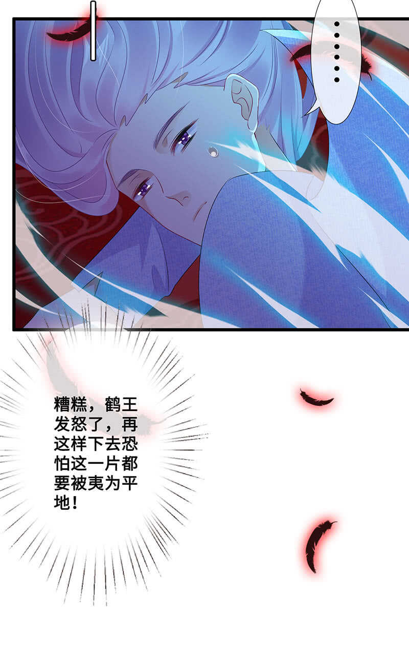 神秘女人的来电15