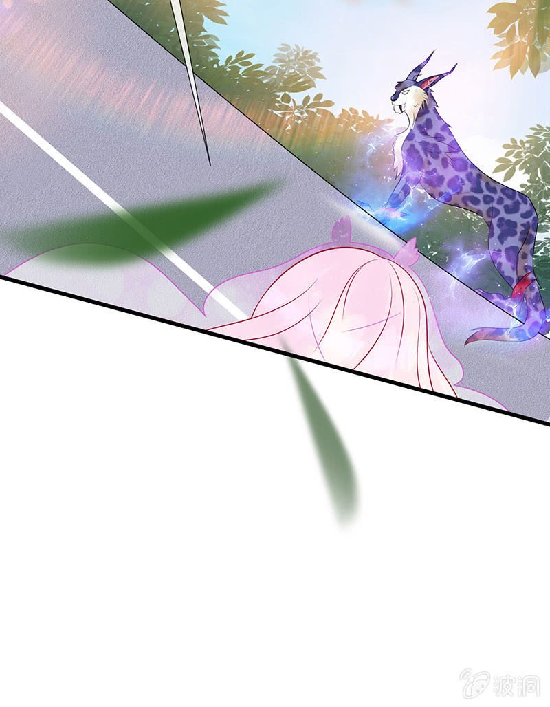 少女斗大猫99