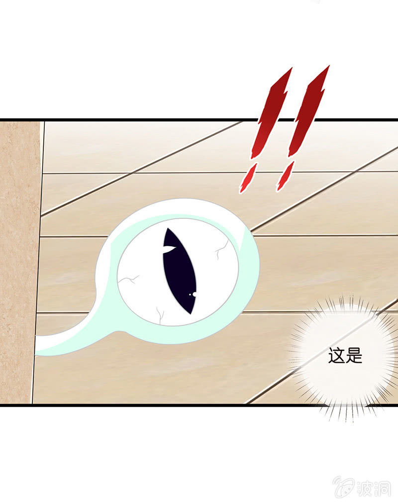 偶像的神秘身份14