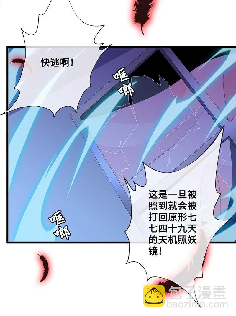 神秘女人的来电11