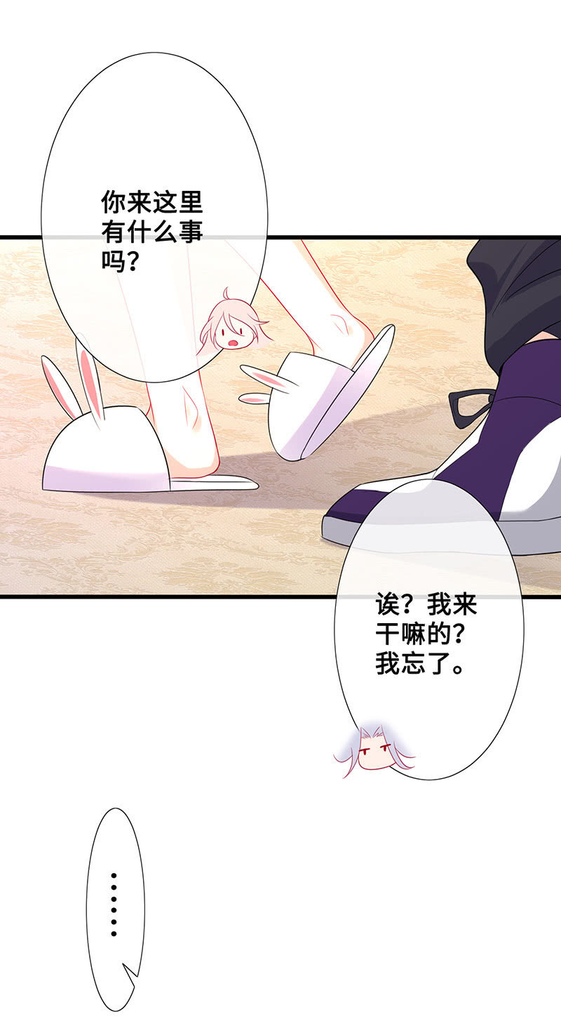 意外的来客42