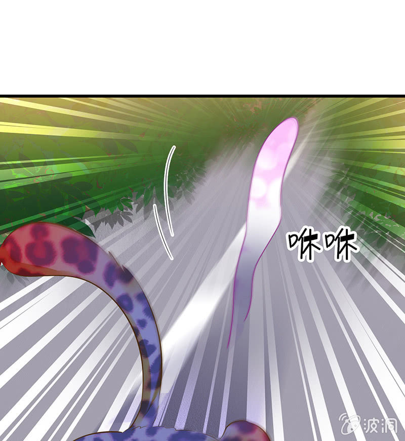 少女斗大猫29