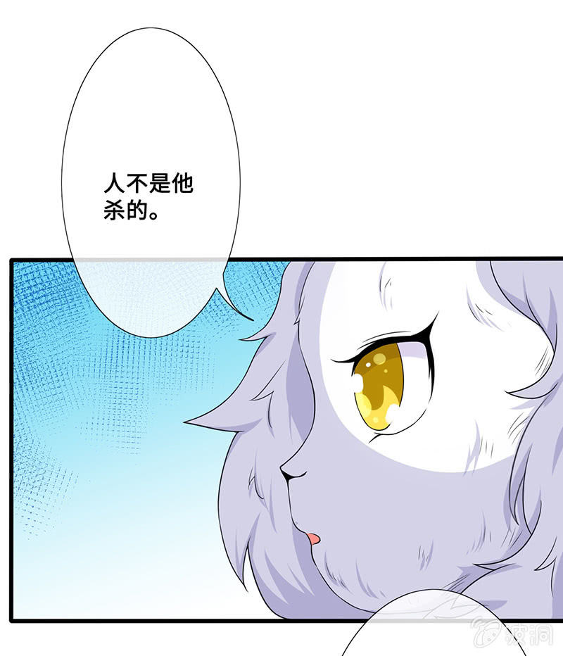 兔子，变身！4