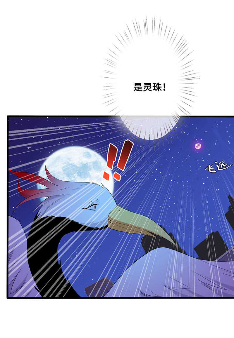 神秘女人的来电21