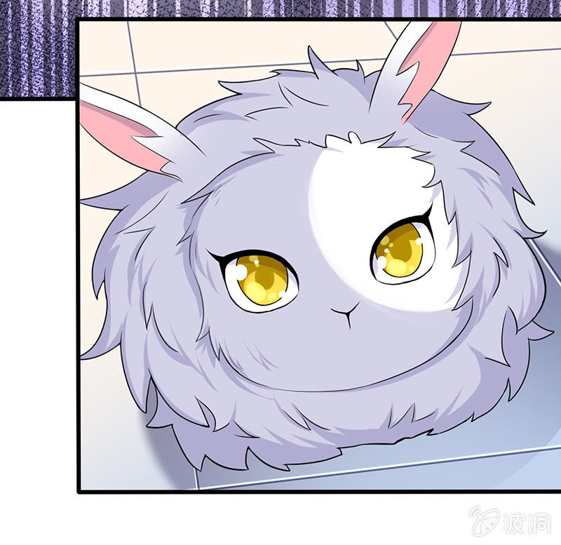 兔子，变身！12