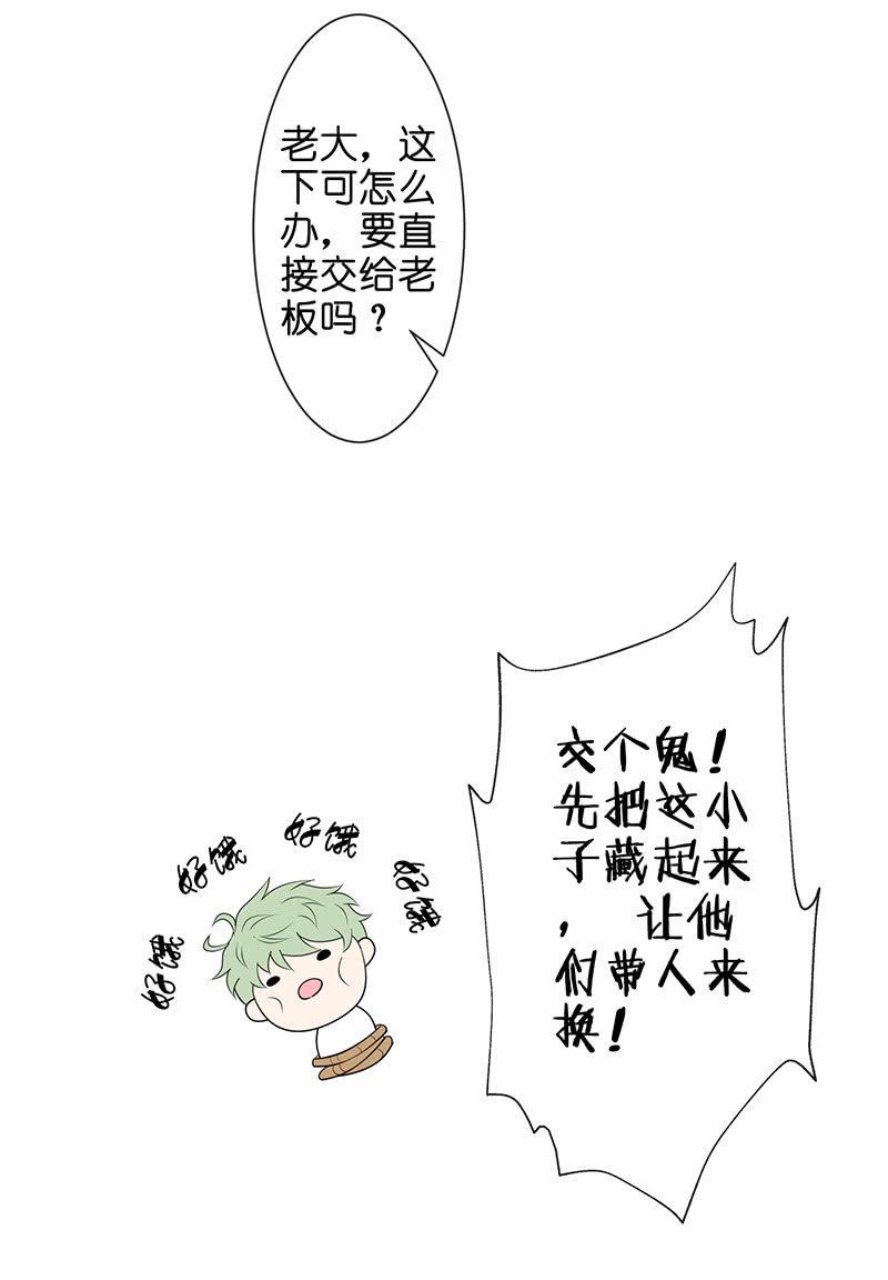 性感奶奶，暴走护崽61