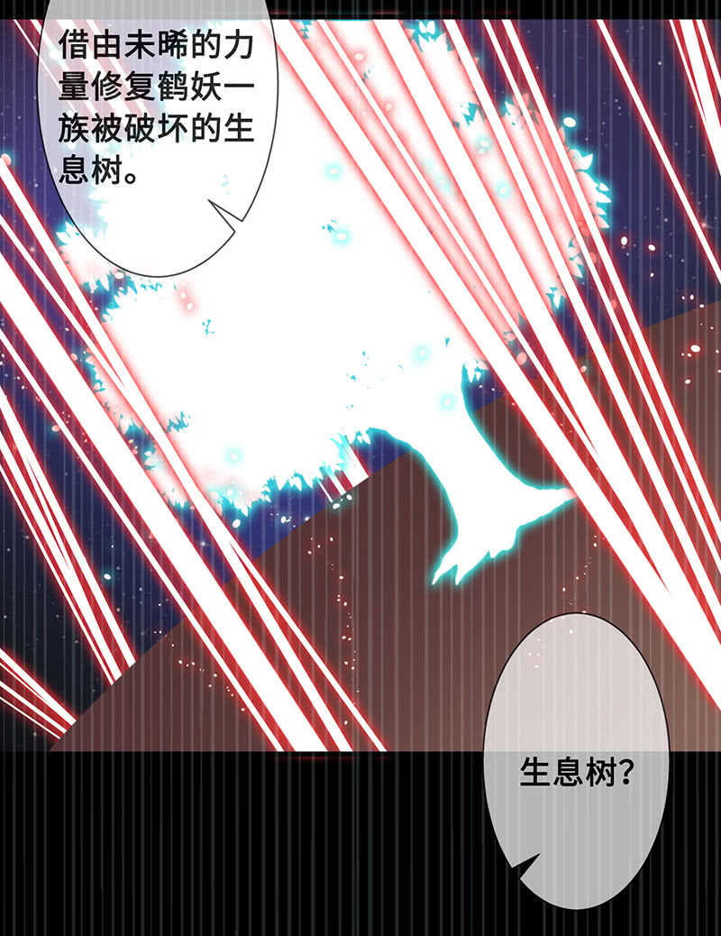 鹤王迎亲11