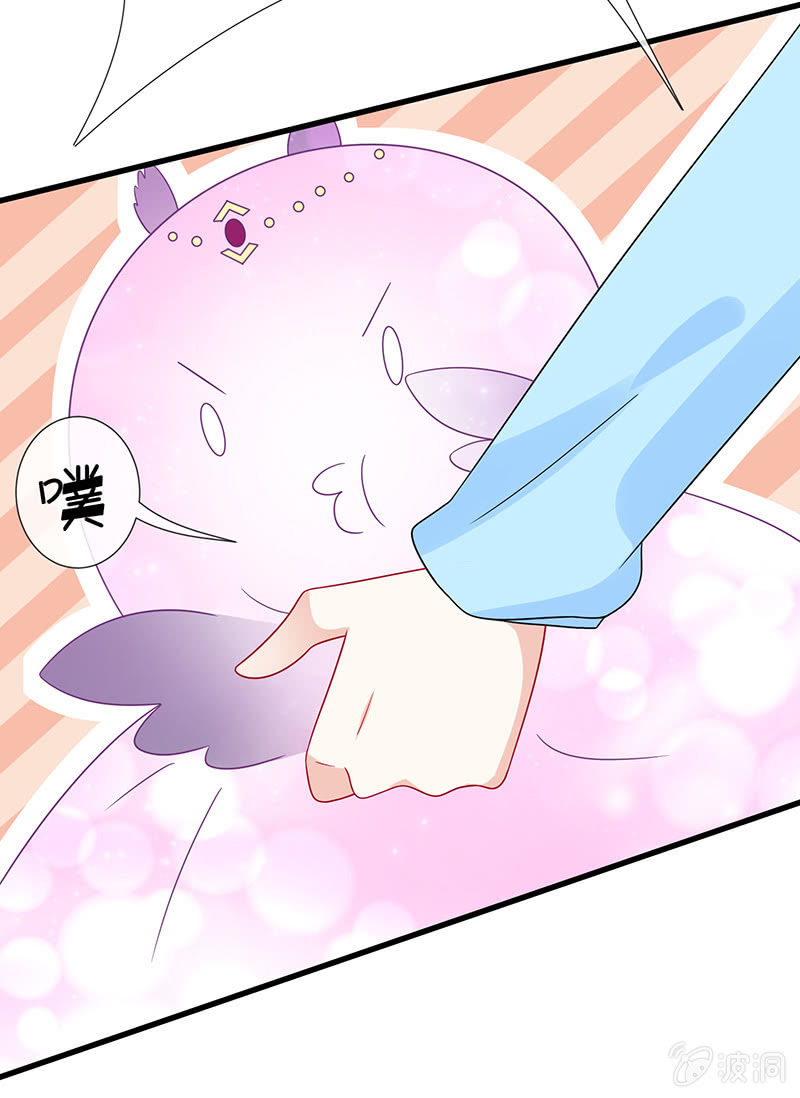 少女斗大猫33