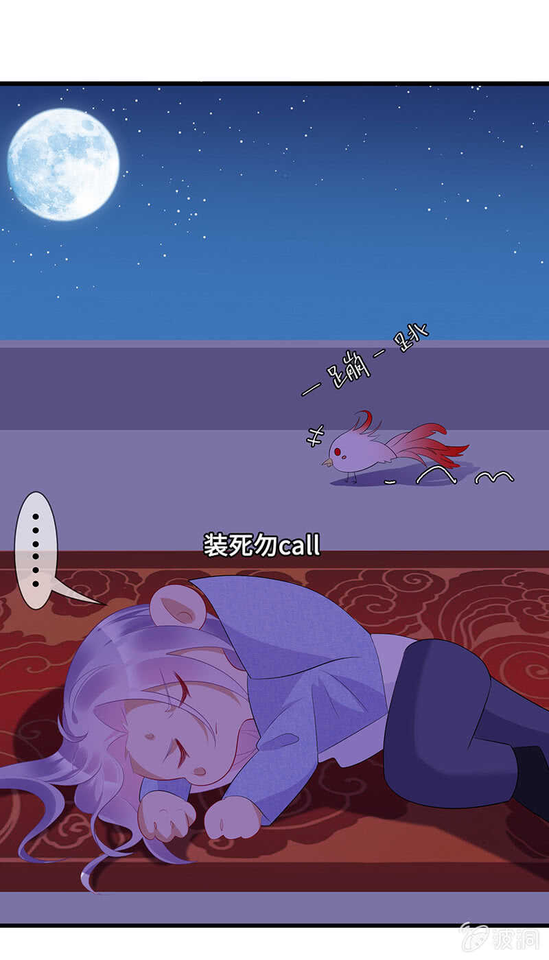 神秘女人的来电28