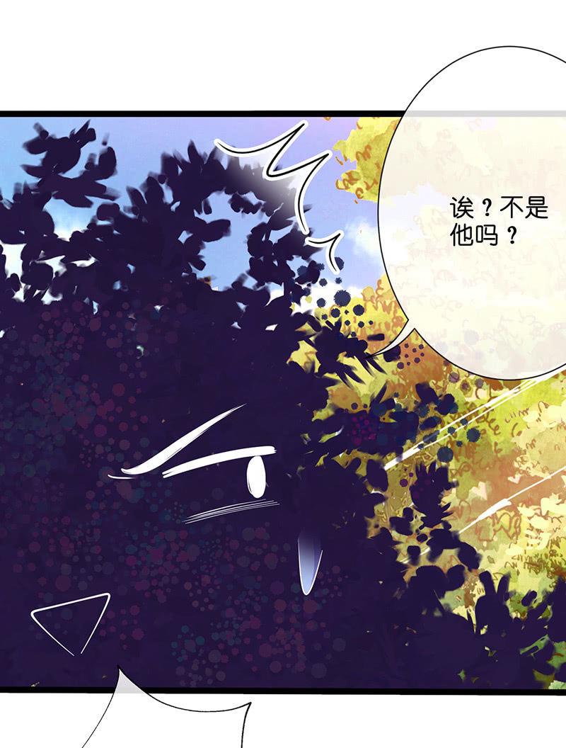 性感奶奶，暴走护崽57