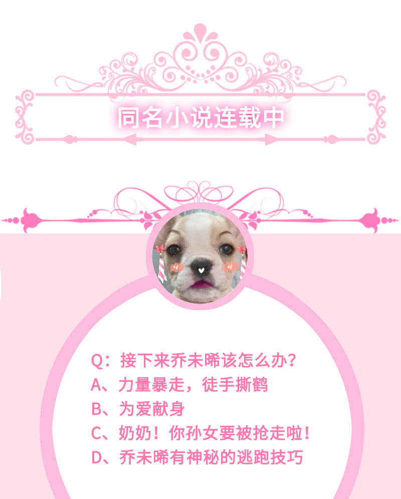 鹤王迎亲46