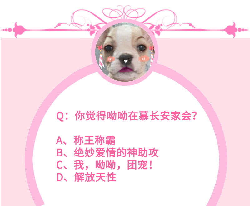 无法传达的心情63