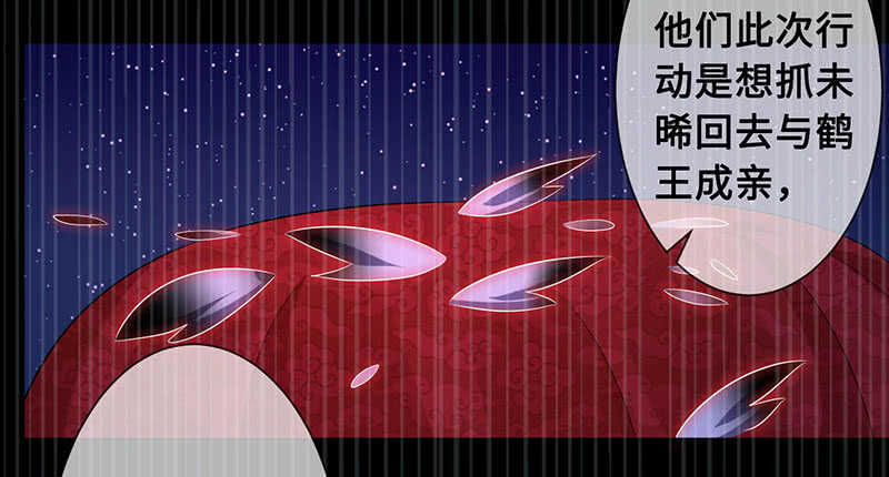 鹤王迎亲10