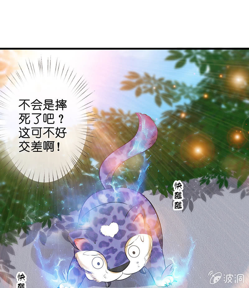 少女斗大猫44