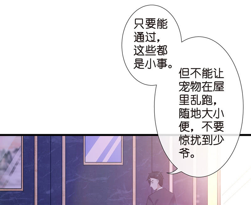 转发这条锦鲤20