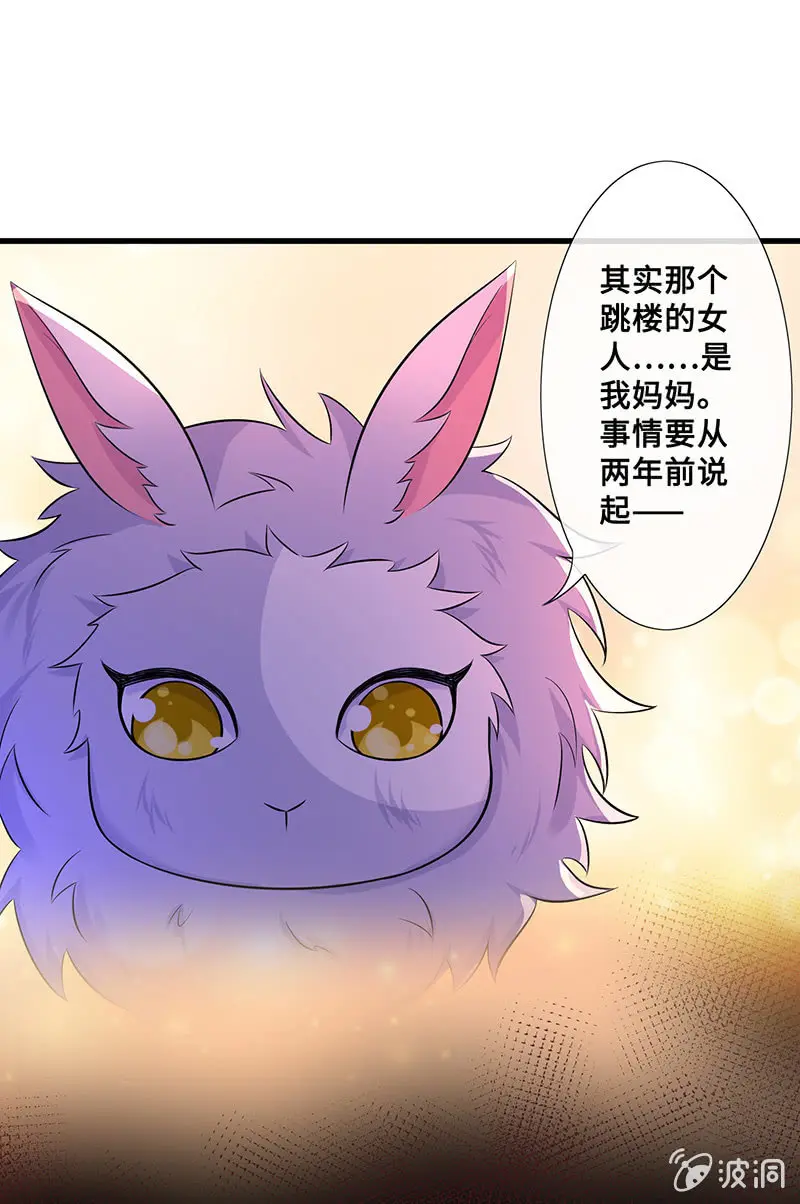 兔子，变身！16