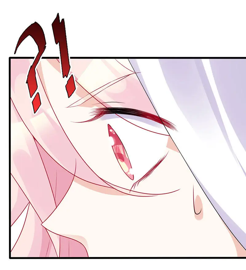 兔子，变身！6