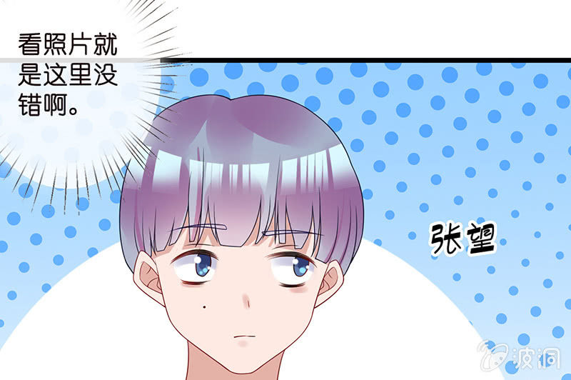 偶像的神秘身份5