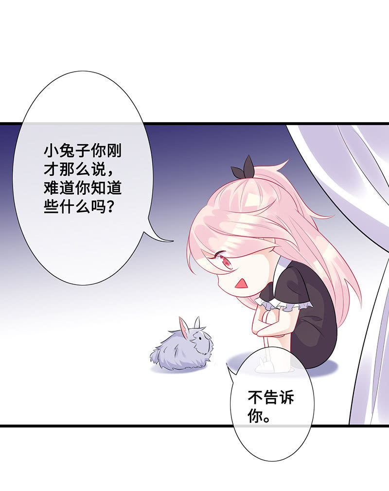 兔子，变身！13