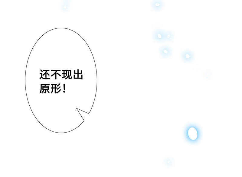 “叛徒”烈焰凰45