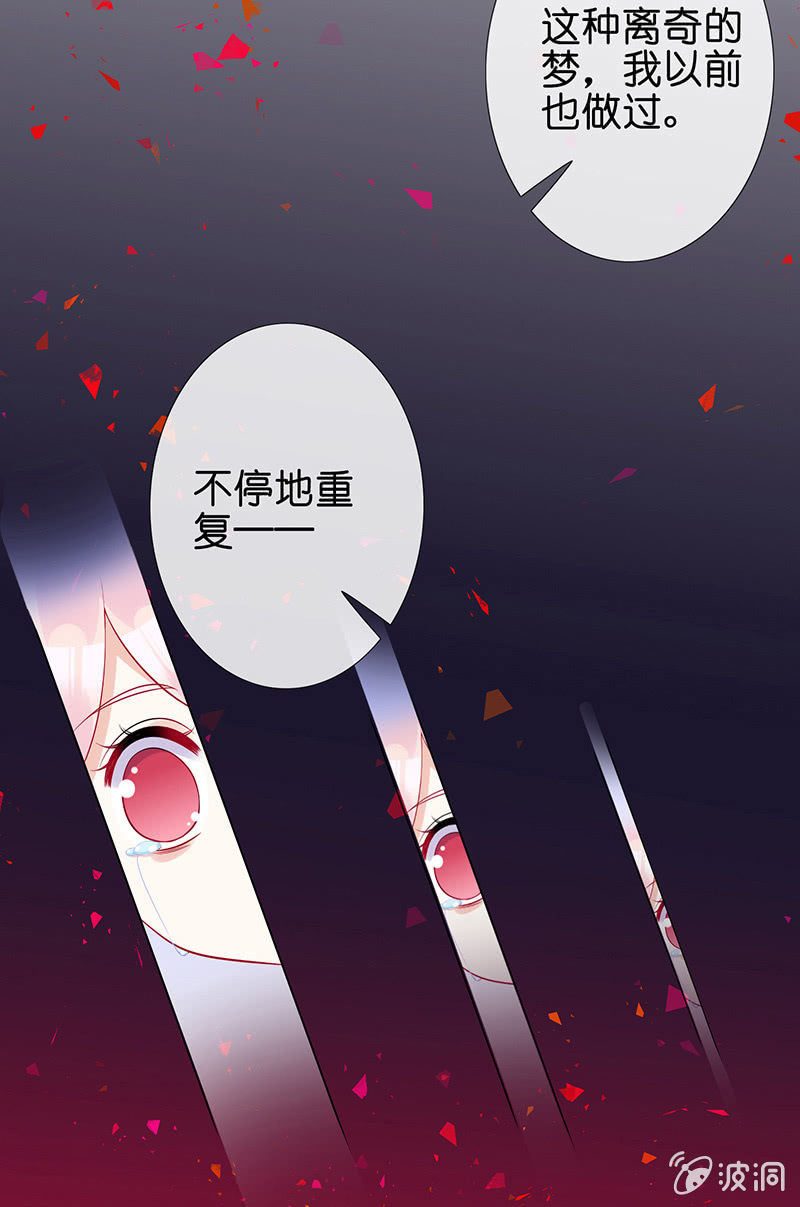 我的王后82