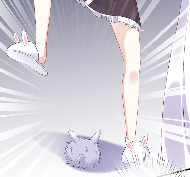 兔子，变身！8