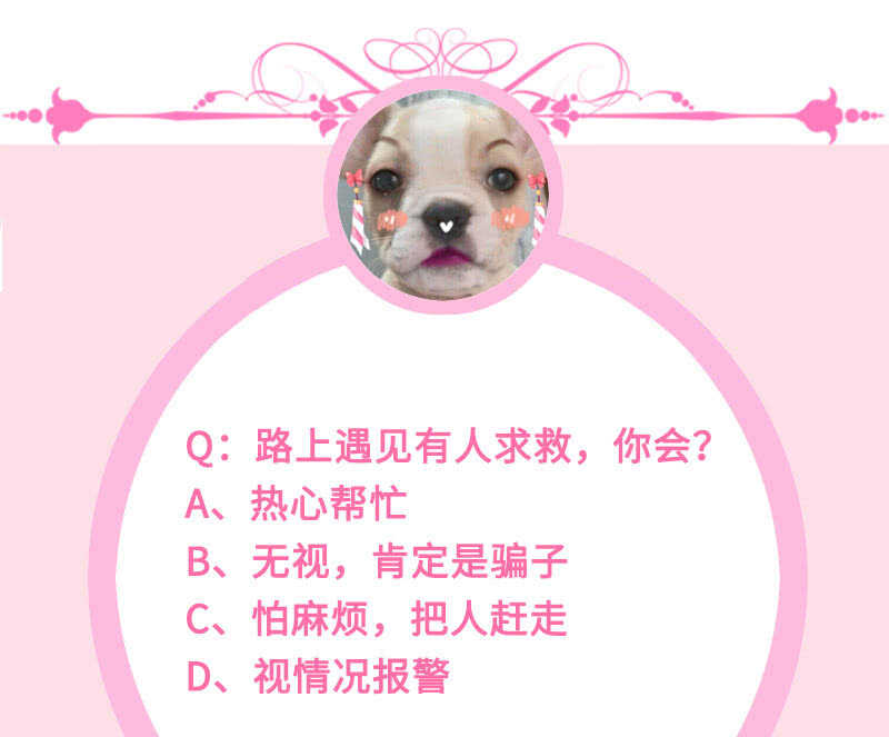 放手49