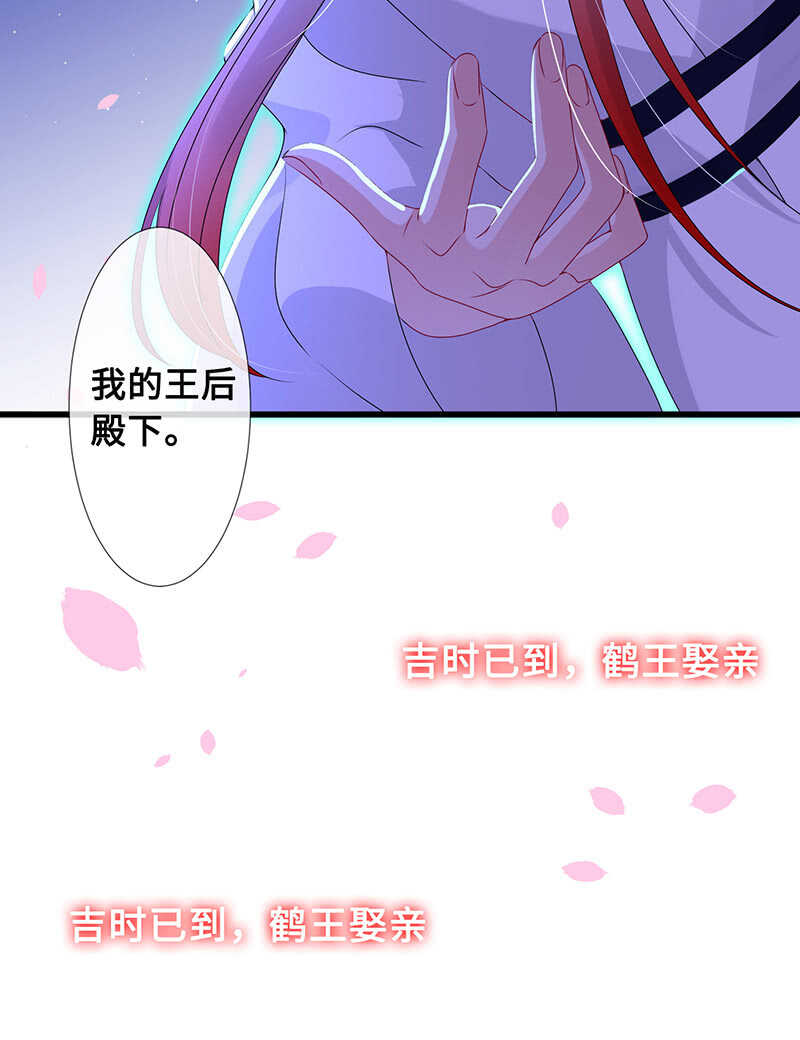 鹤王迎亲29